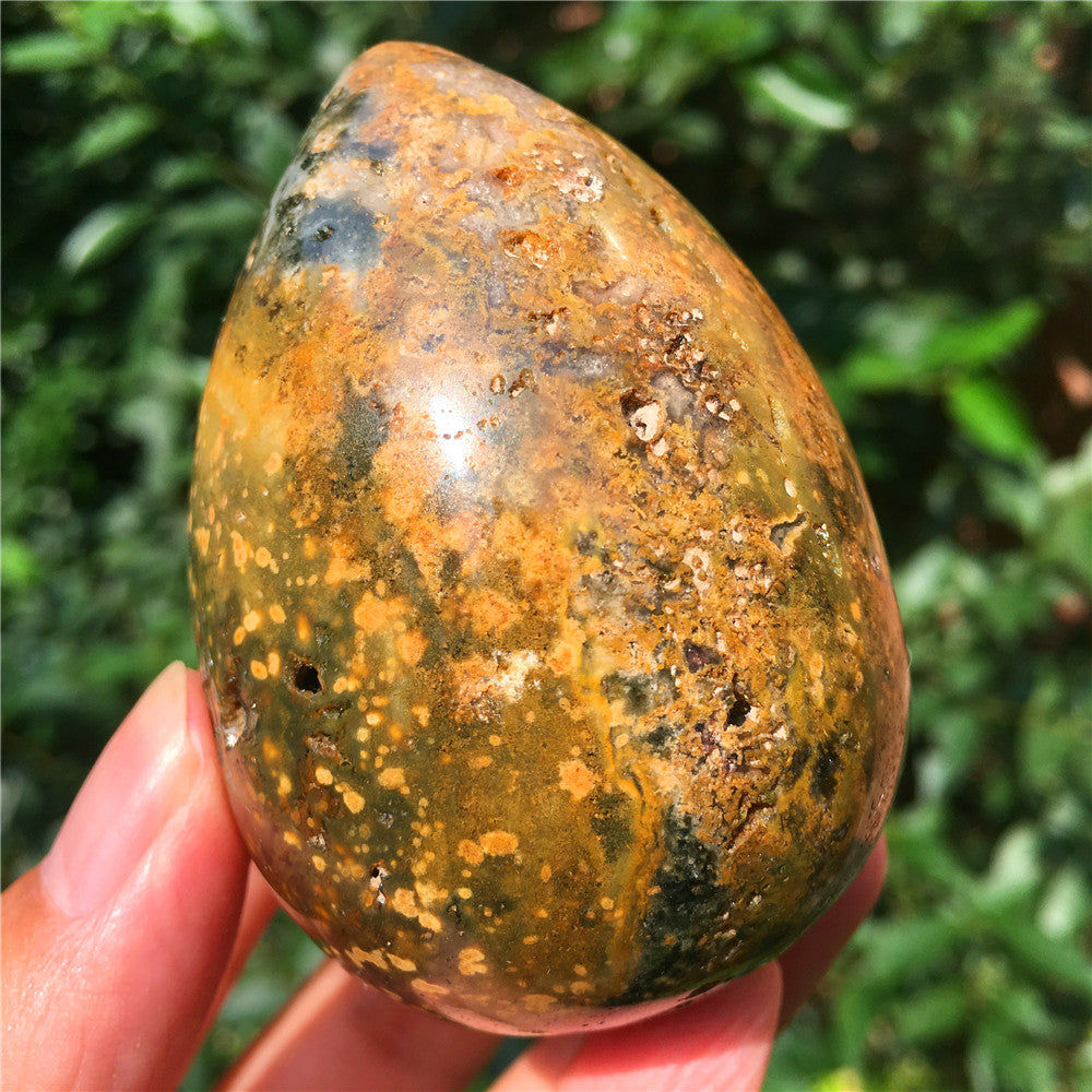 237G  Crystal carved egg of Ocean Jasper  F17
